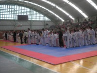 /album/galeria-de-fotos/torneio-de-farroupilha-realizado-dia-11-09-11-jpg/